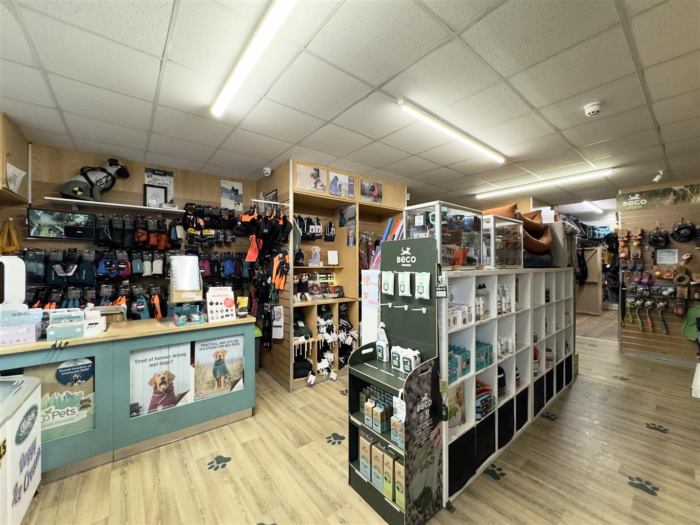 North Quay, Padstow photo - 3